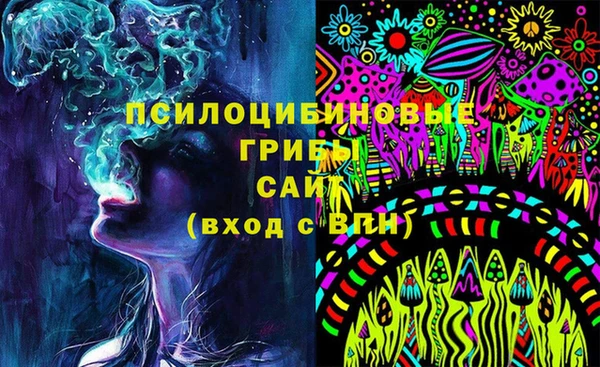 шишки Заволжск